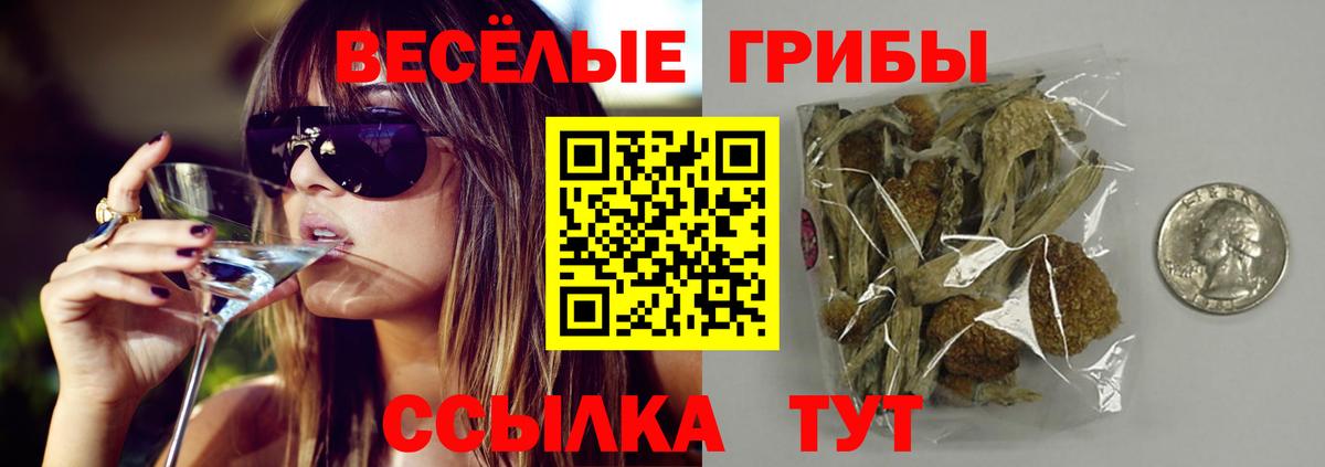 Углич  Галлюциногенные грибы прущие грибы  Псилоцибиновые грибы GOLDEN TEACHER  Вход с VPN 
